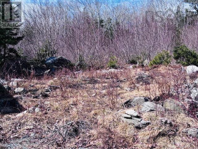 8494 Highway 3 Property Photo 4