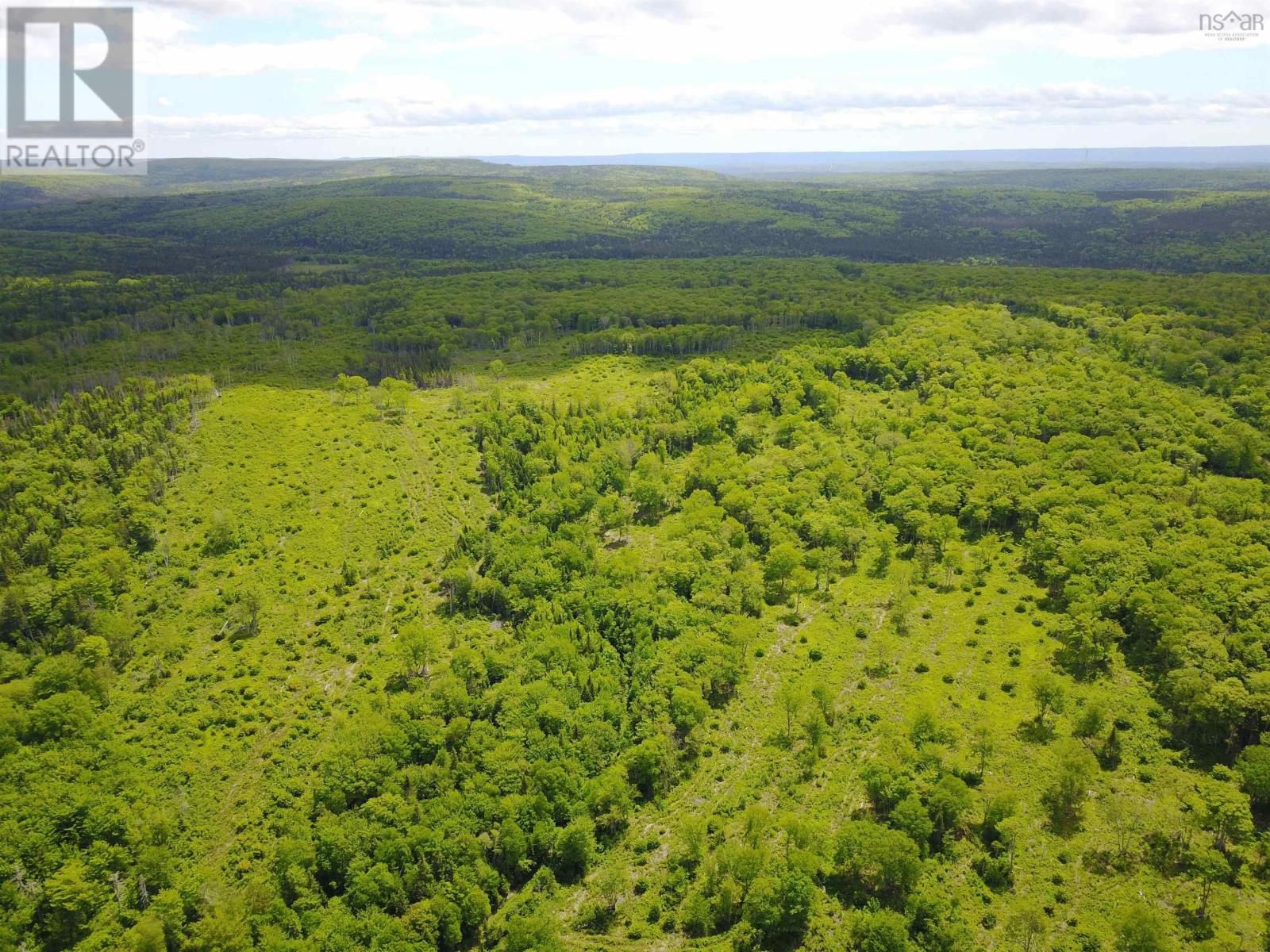Forks Baddeck Property Photo 1