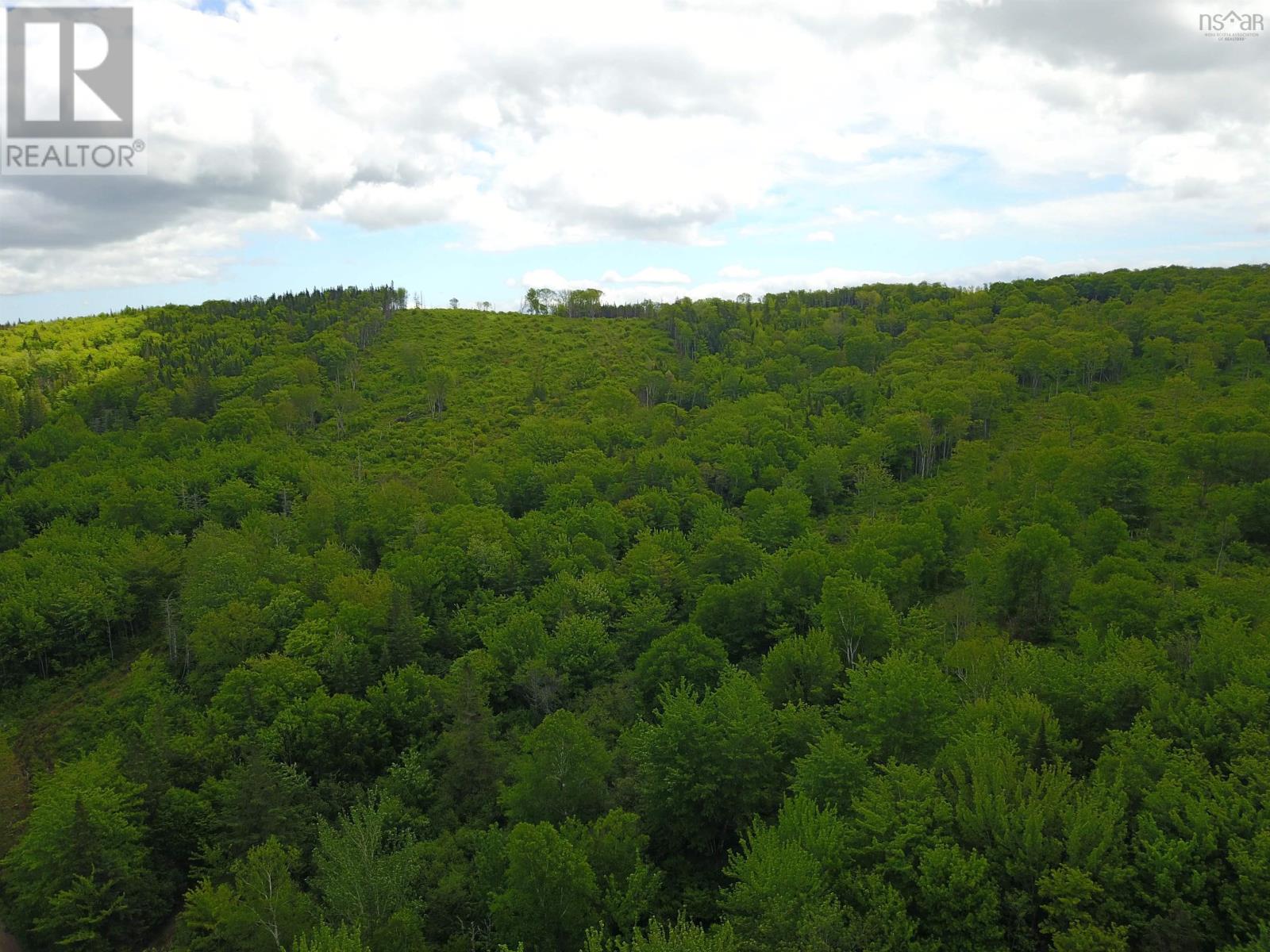 Forks Baddeck Property Photo 4