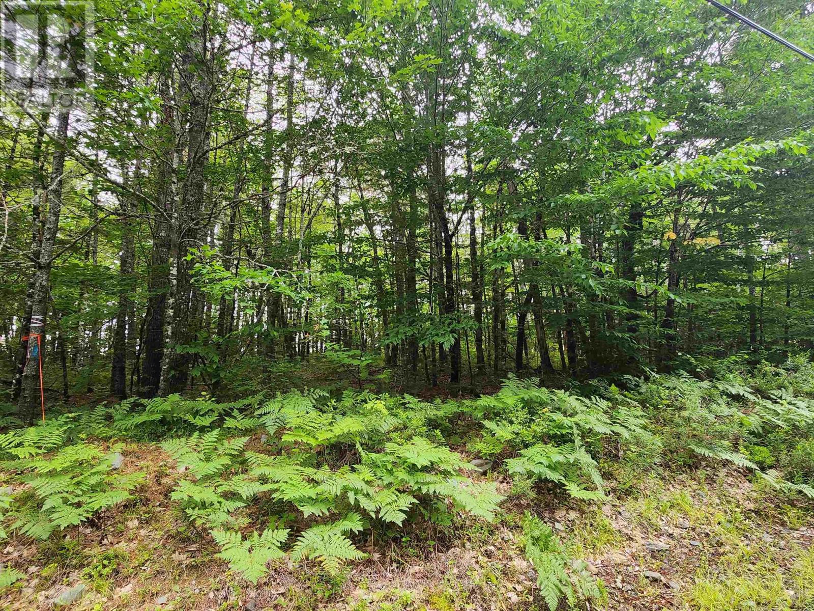 Lot 73 Baker Point Road Property Photo 4