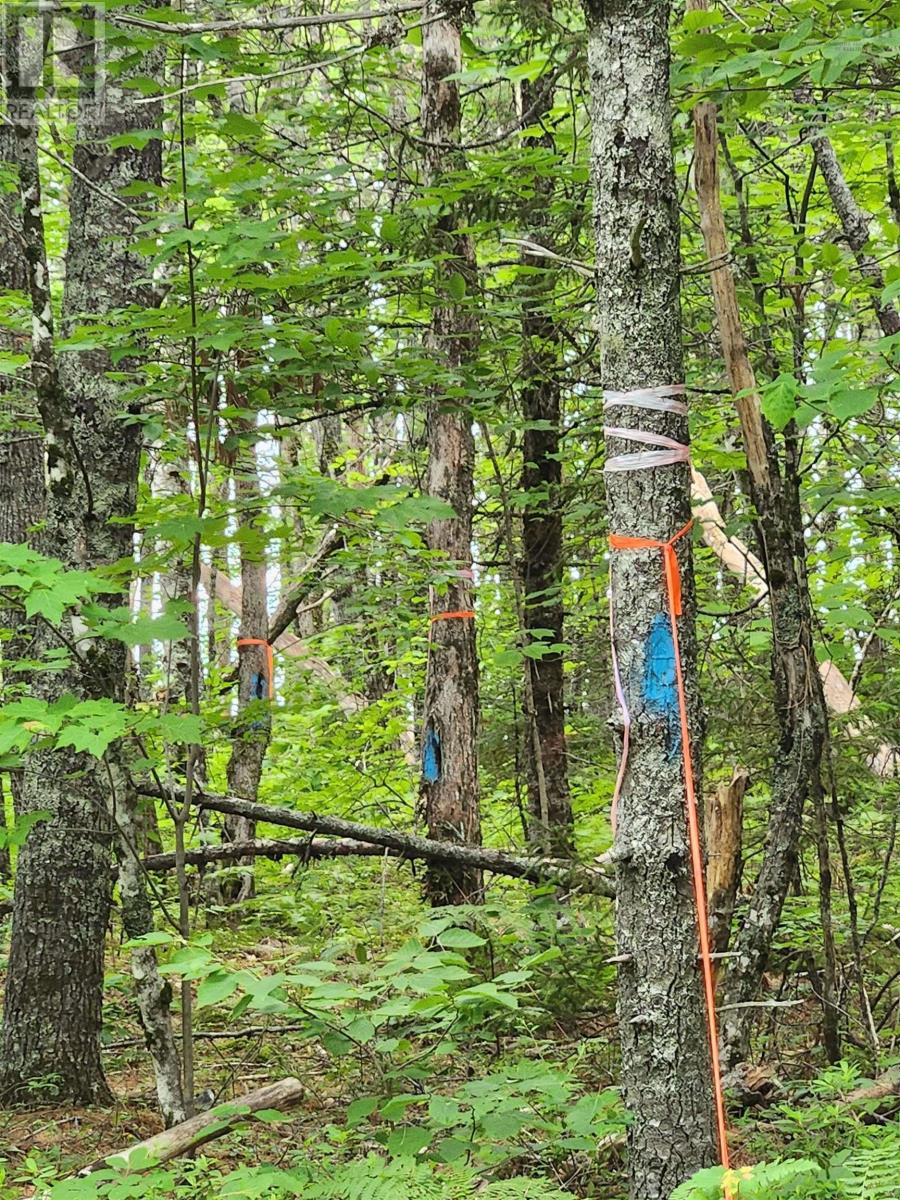 Lot 73 Baker Point Road Property Photo 5