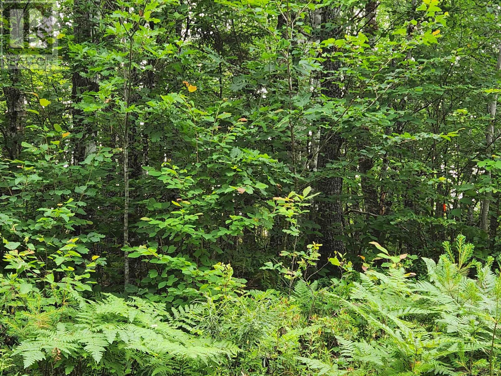 Lot 73 Baker Point Road Property Photo 6