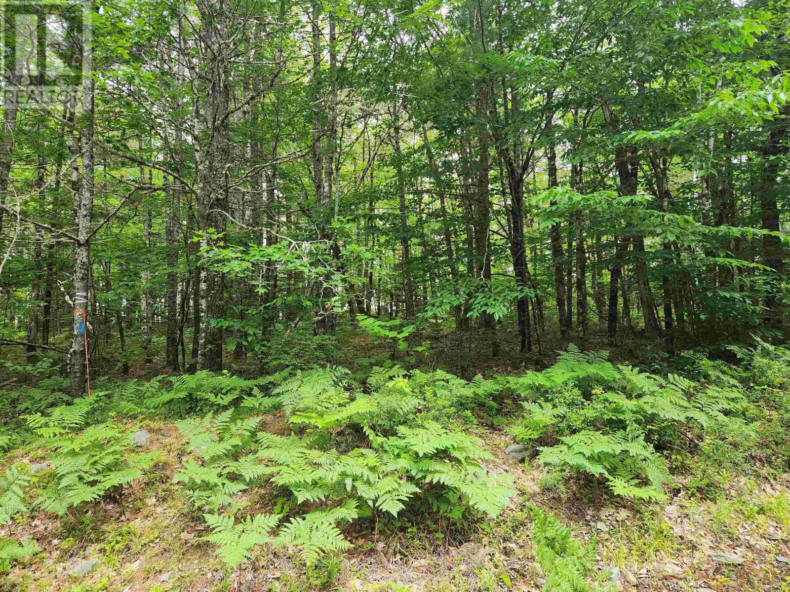 Lot 73 Baker Point Road Property Photo 7