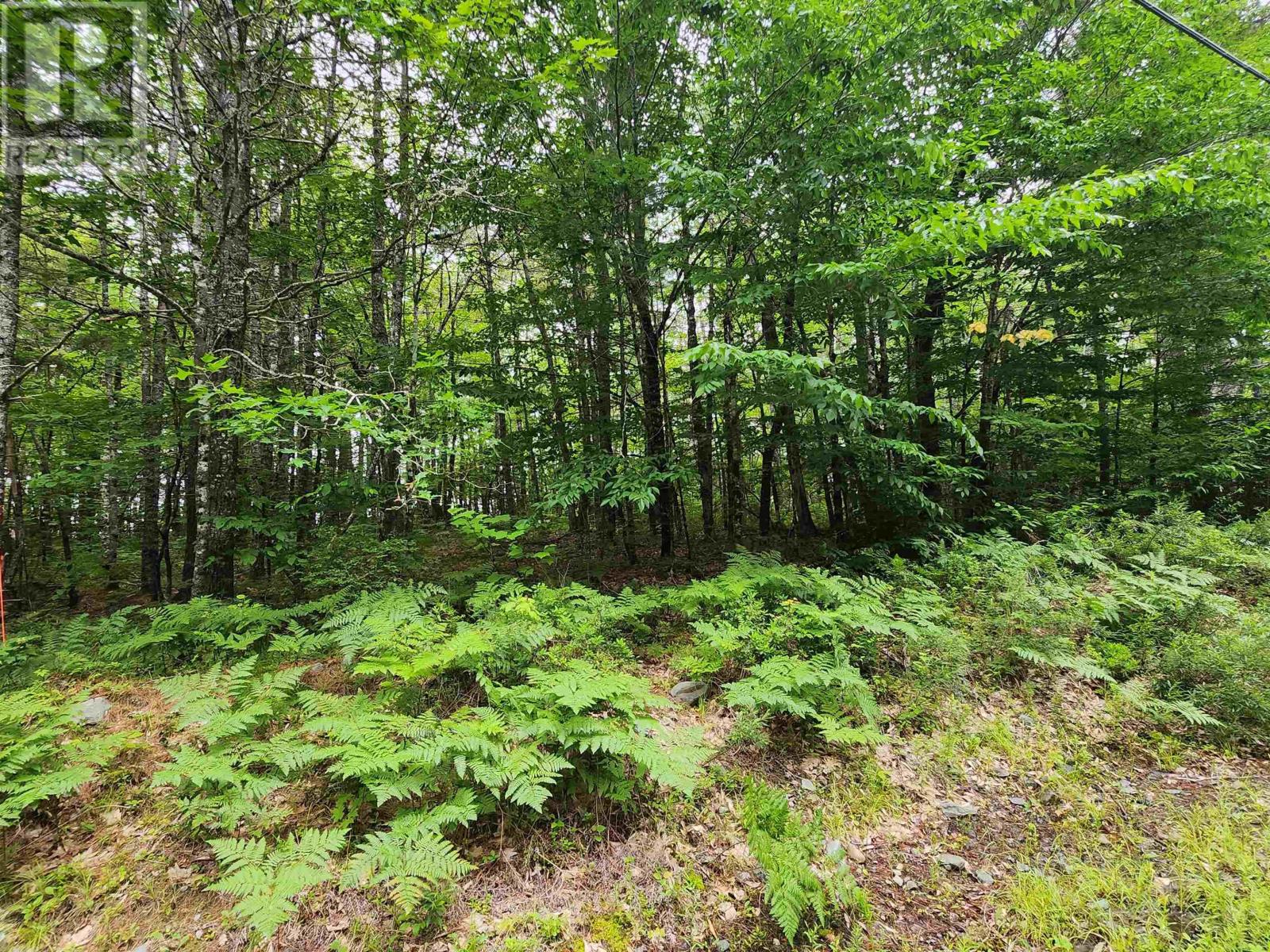 Lot 73 Baker Point Road Property Photo 10