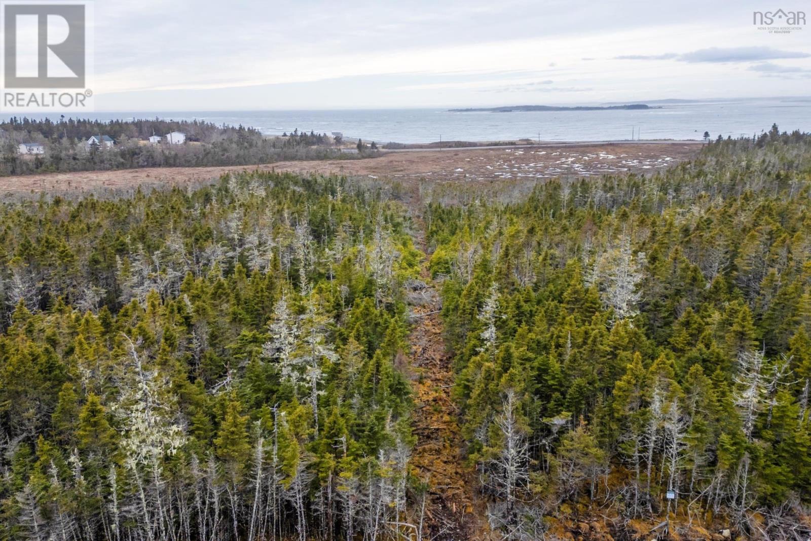 Lot 6 102 Ostrea Lake Road Property Photo 10