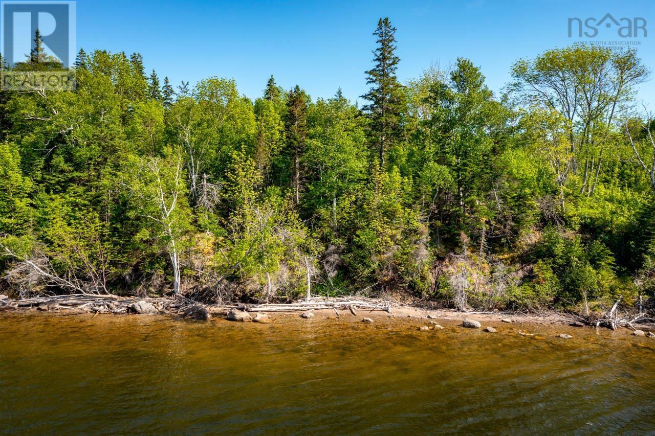 Lot 3 South Cove Road Property Photo 16