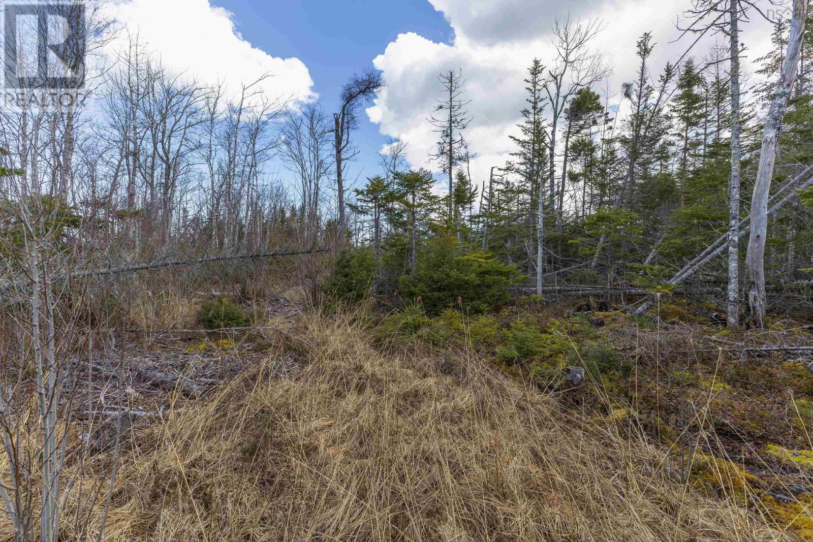Lots Shore Road Property Photo 19