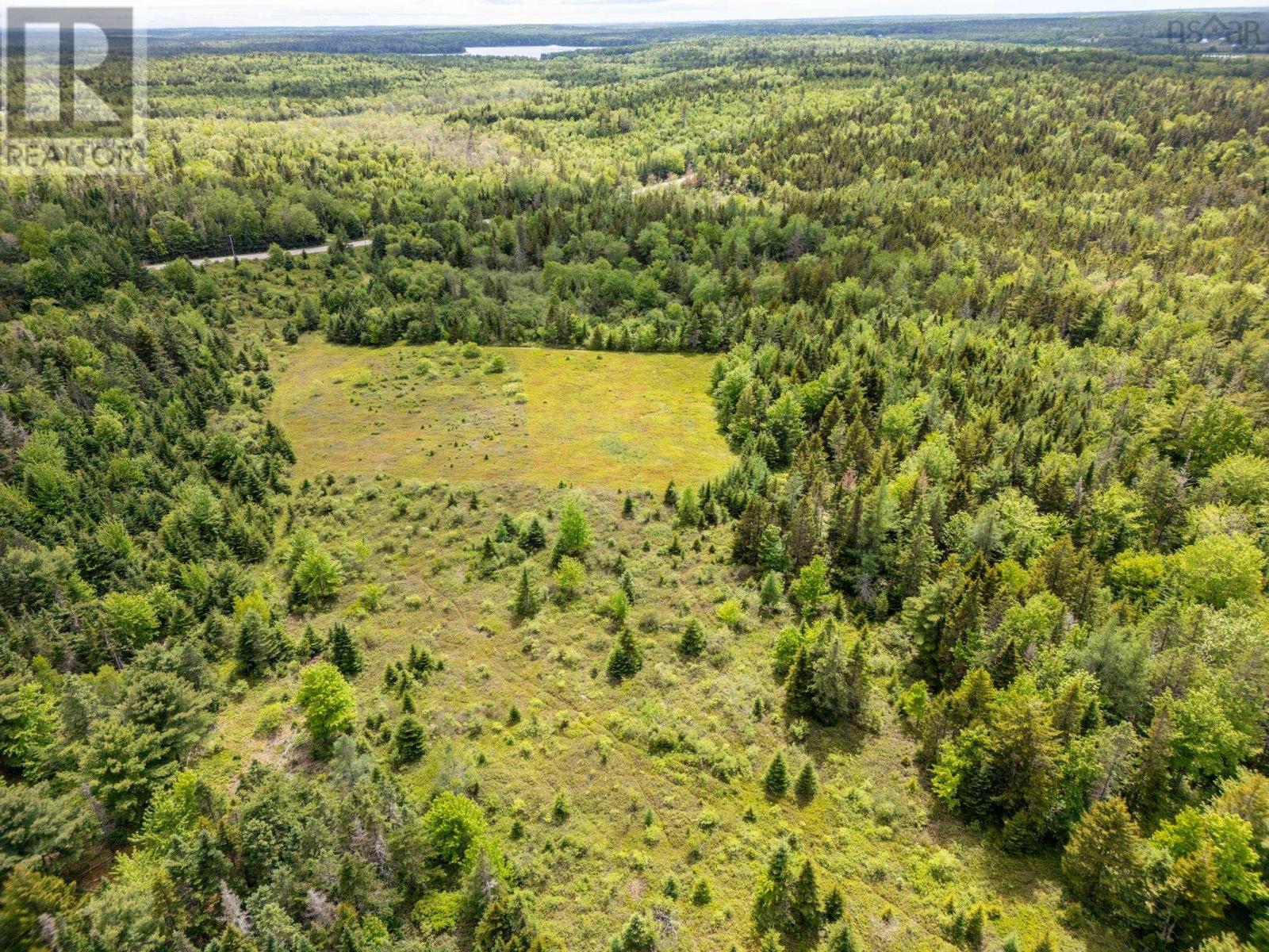 2925 Highway 203 Property Photo 5