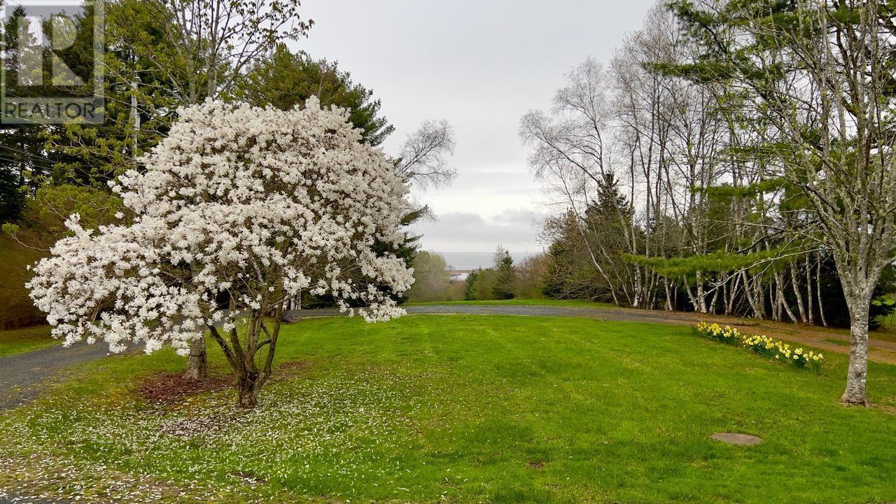 36 Whitetail Lane Property Photo 48