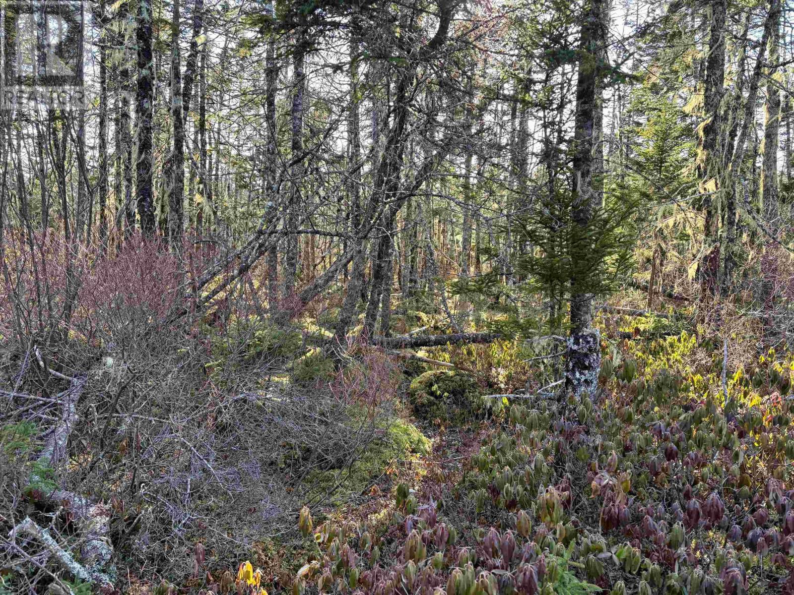 Lot Upper Kingsburg Road Property Photo 14