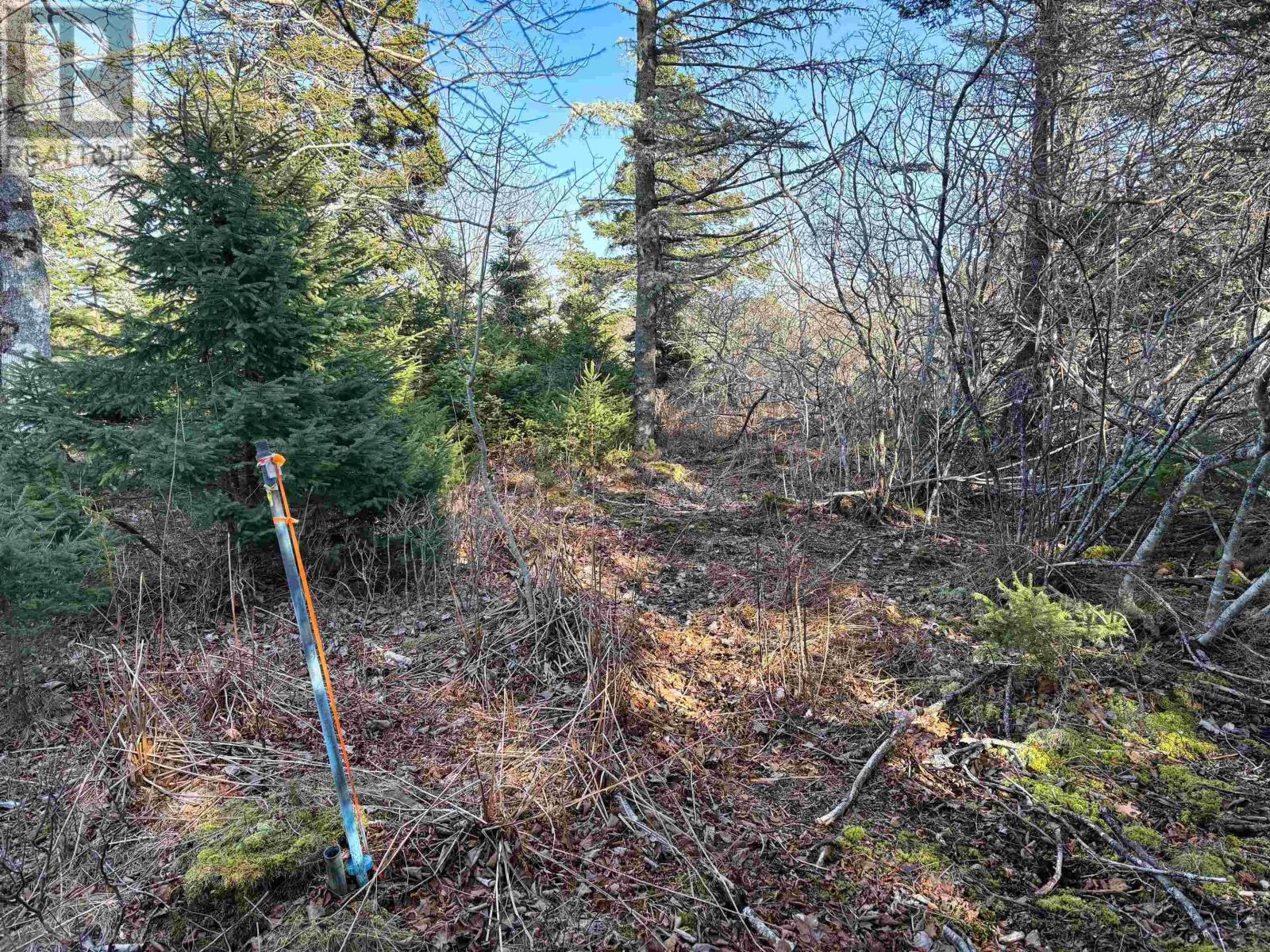 Lot Upper Kingsburg Road Property Photo 15