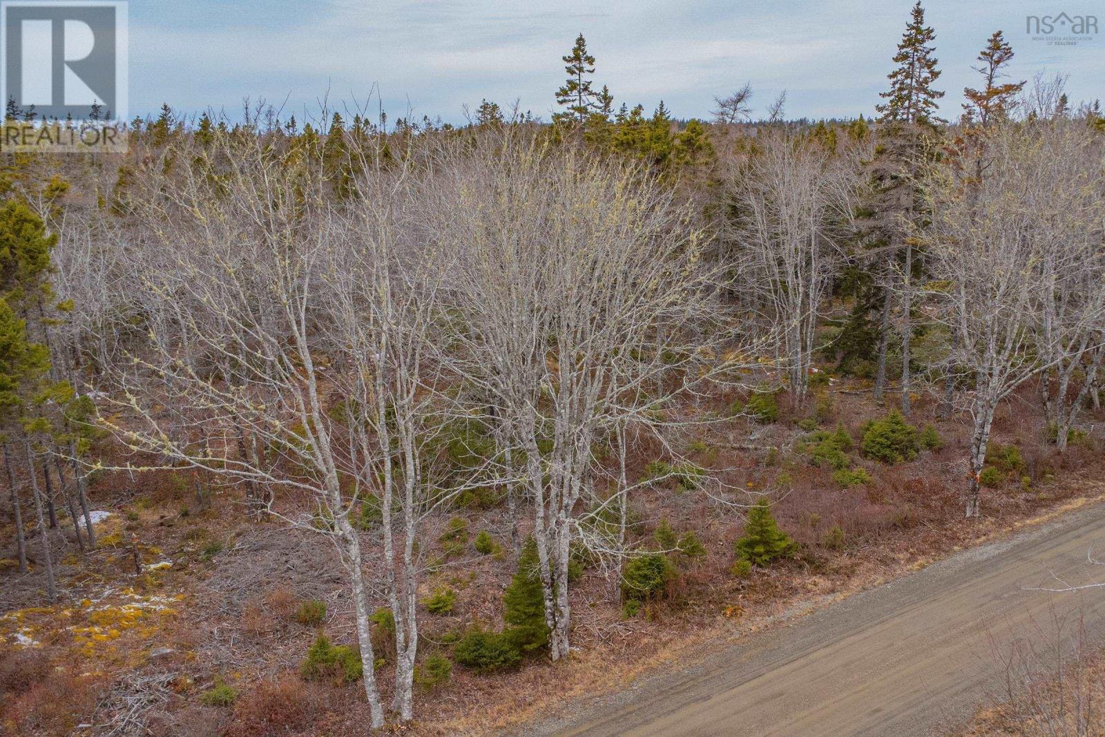 Lot Peter Leblanc Road Property Photo 7