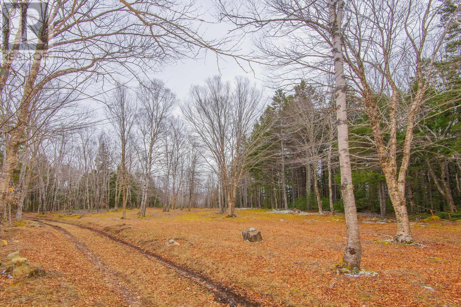 Lot Peter Leblanc Road Property Photo 11