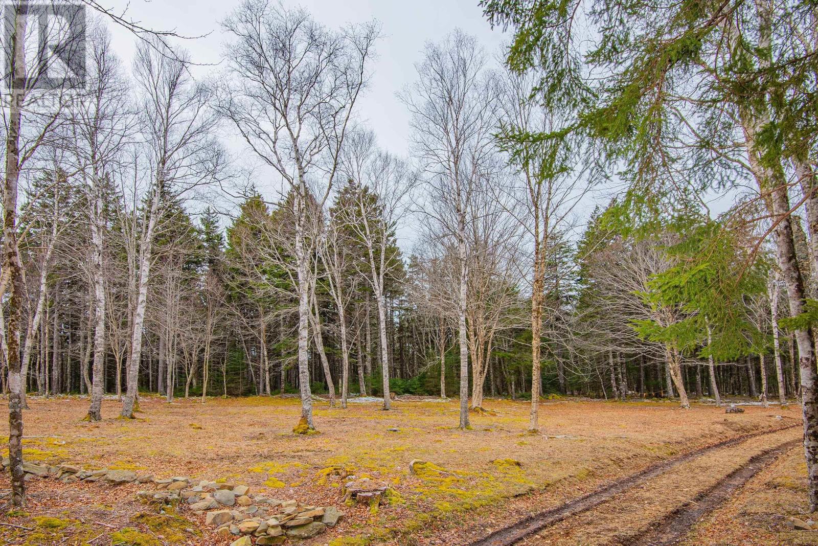 Lot Peter Leblanc Road Property Photo 13