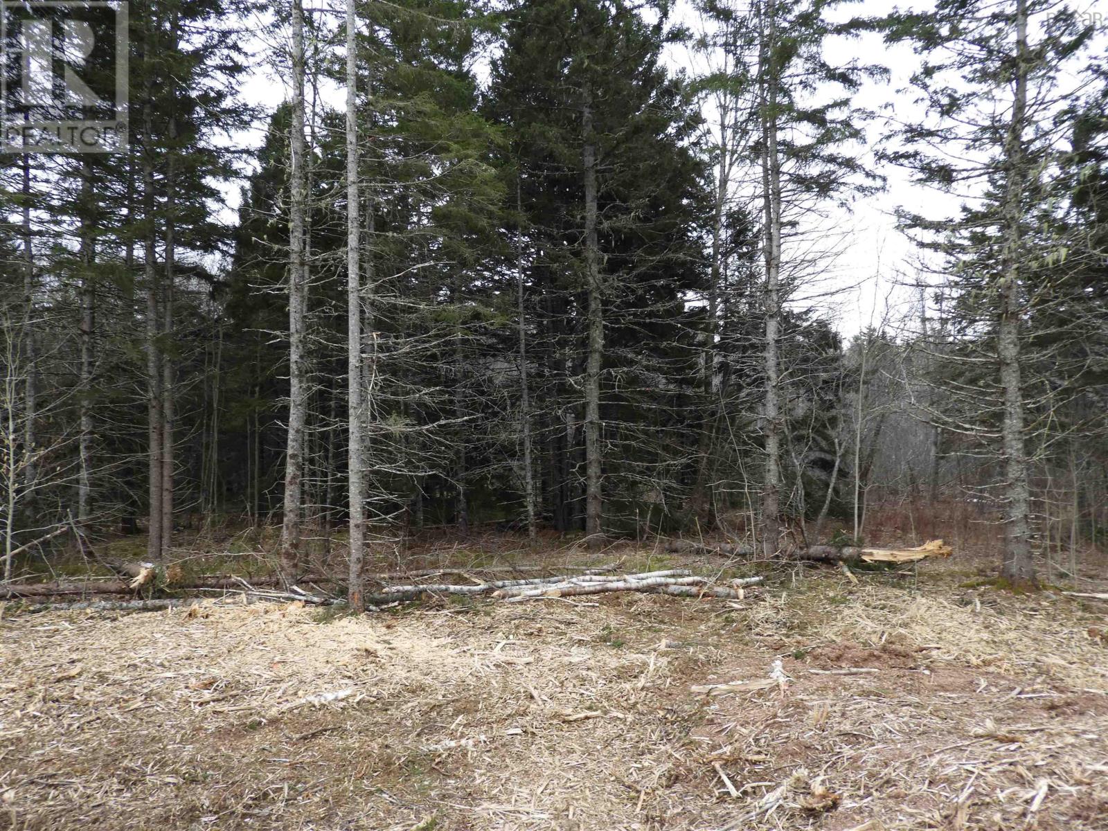 Lot New Russell Road Property Photo 3