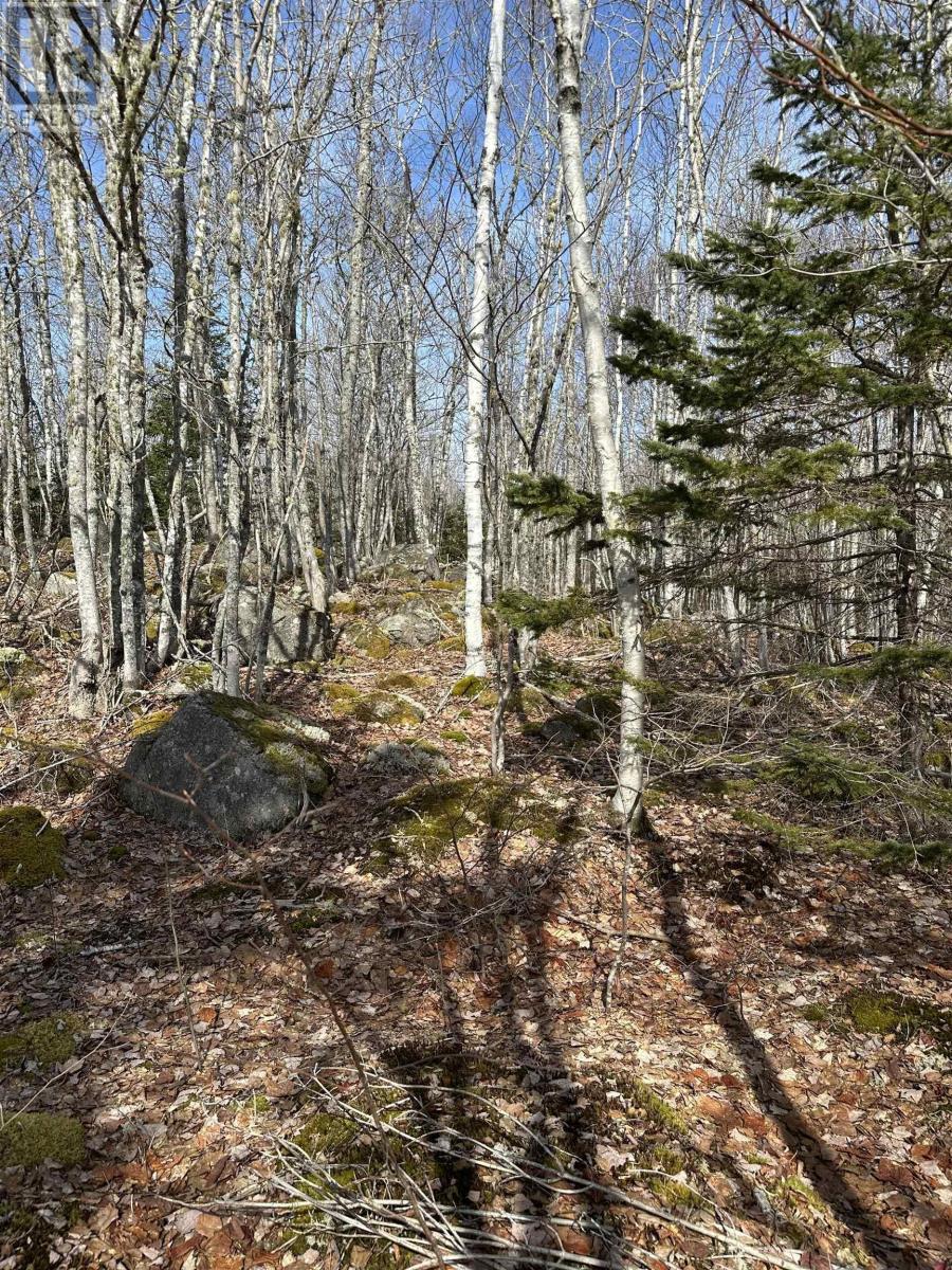 Lot 7 North River Road Property Photo 1