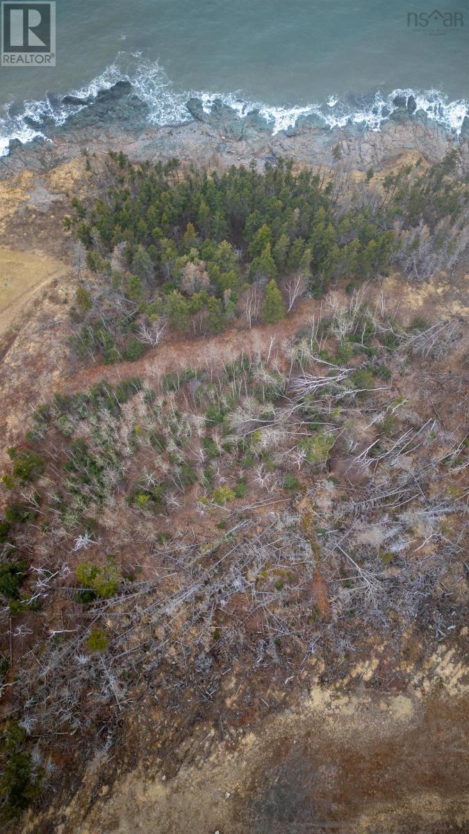 Lot 10-2 337 Highway Property Photo 8