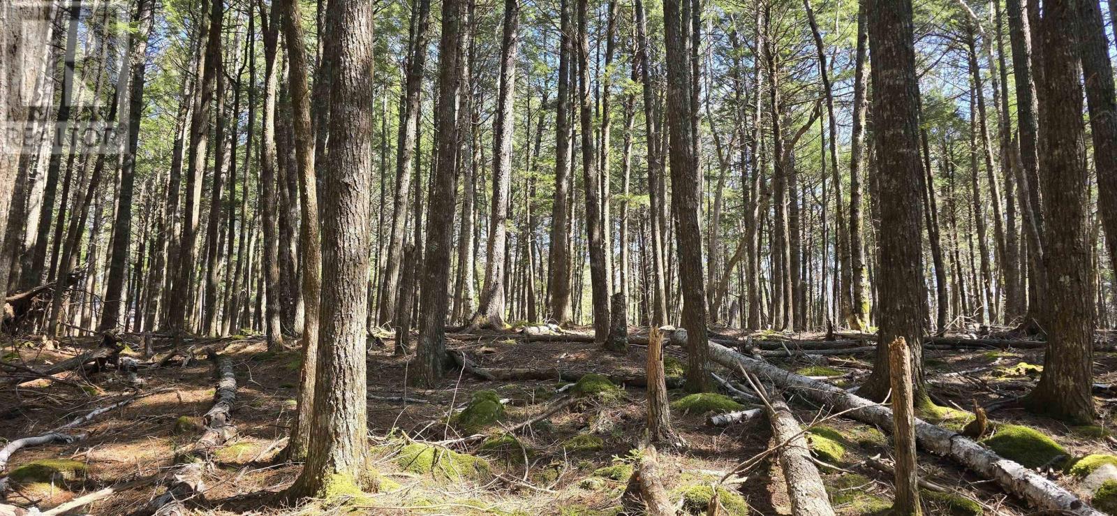 Lot 3 Beaver Row Photo de la propriété 1