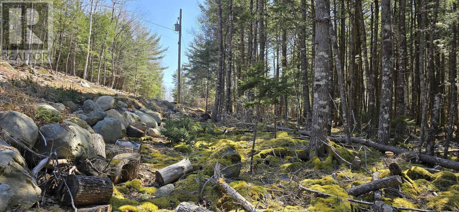 Lot 3 Beaver Row Property Photo 16