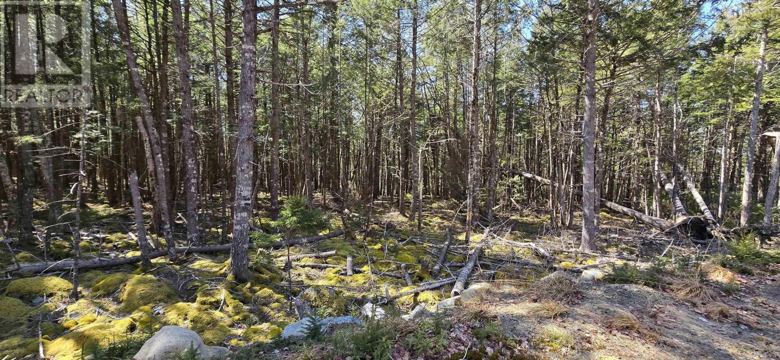 Lot 3 Beaver Row Property Photo 23