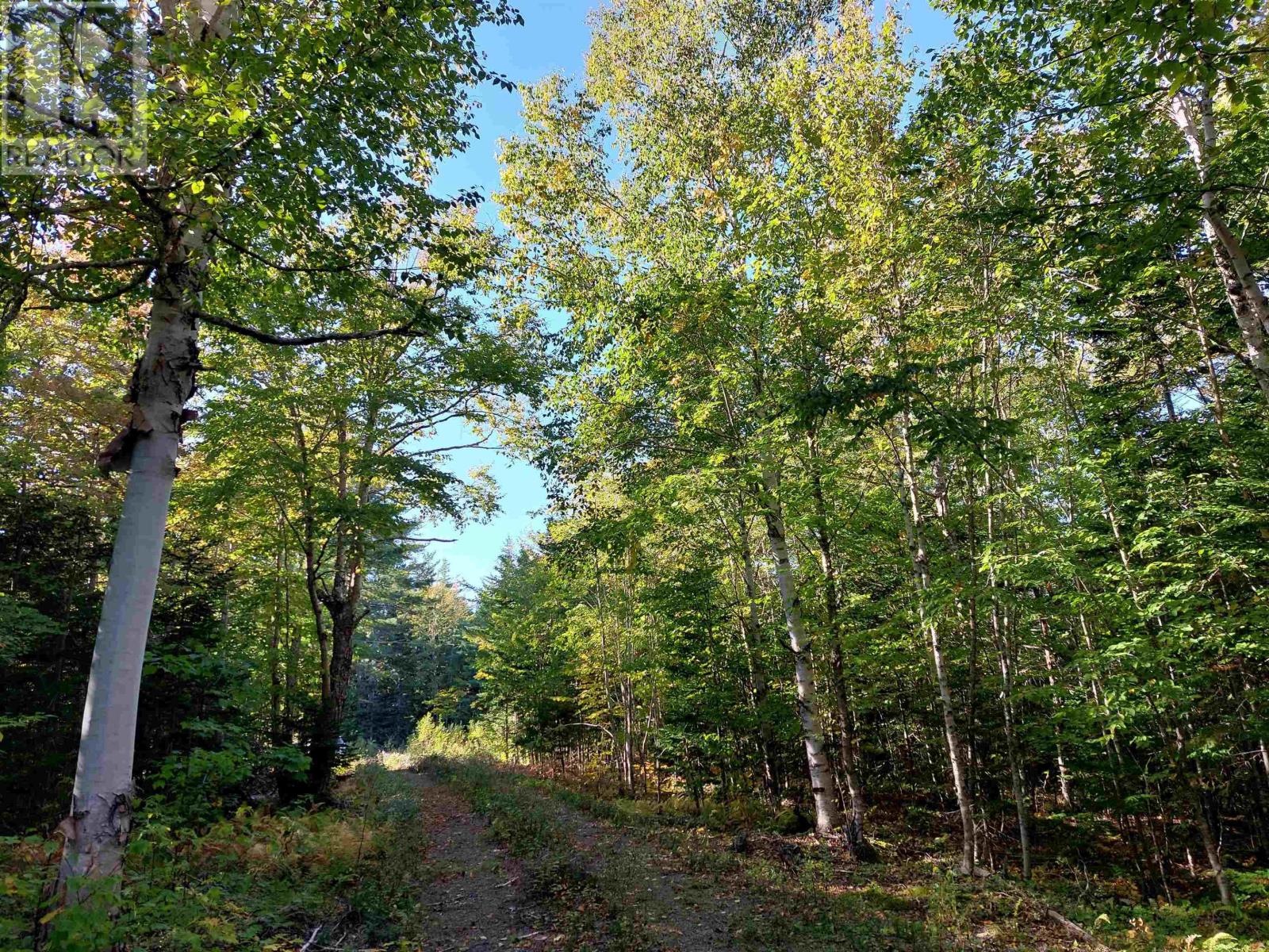 Lot 50 Redbird Dr. Property Photo 6