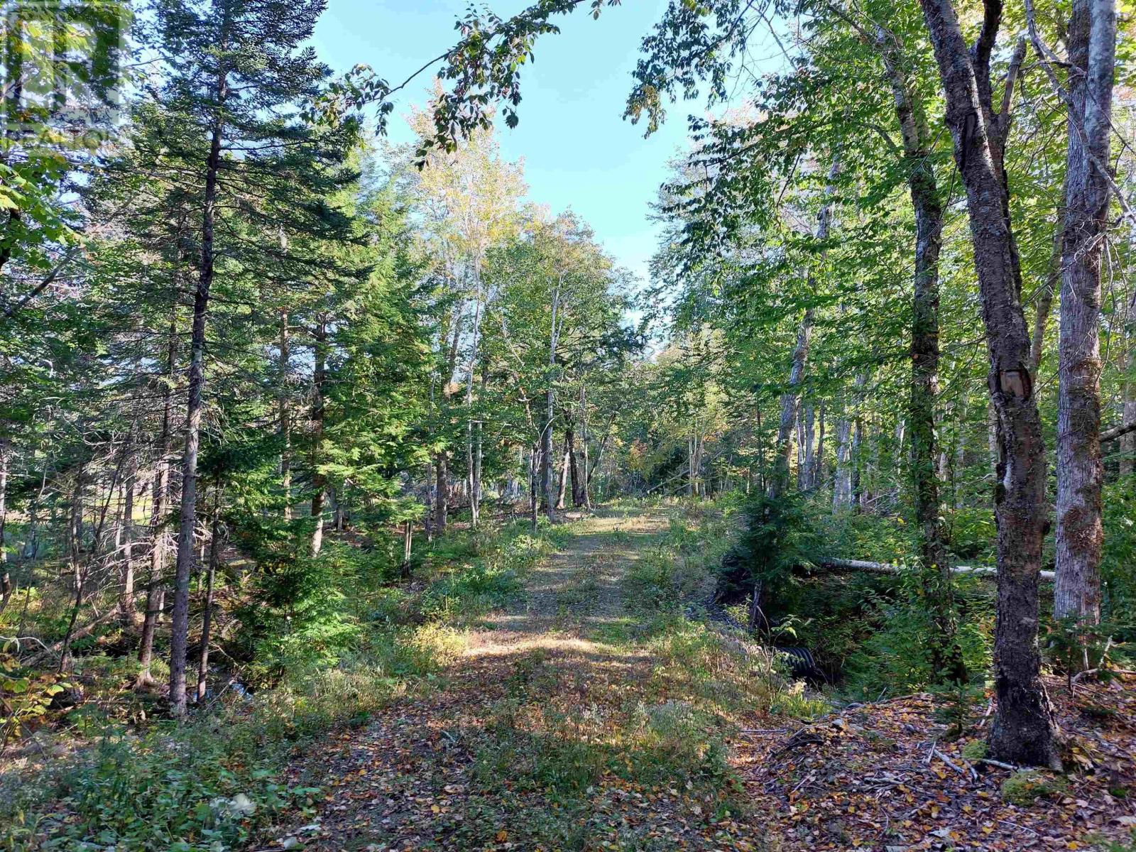 Lot 50 Redbird Dr. Property Photo 7