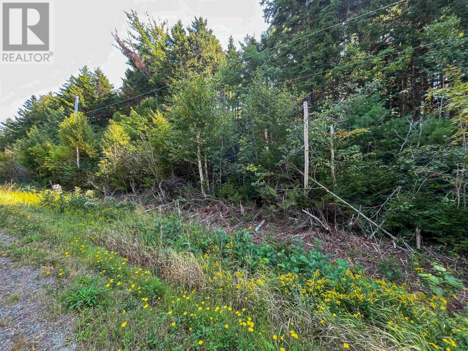 Lots Thibault Road Property Photo 6