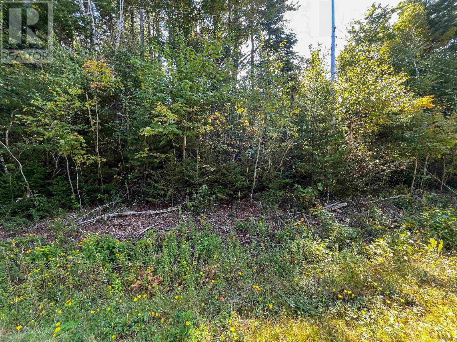 Lots Thibault Road Property Photo 9