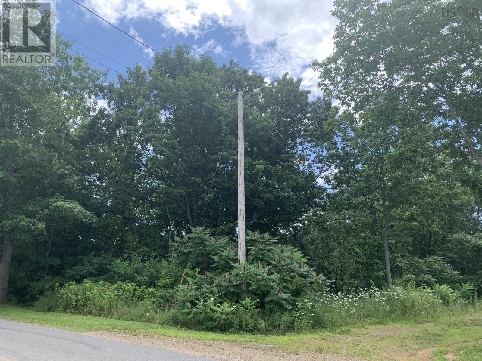 Lot 2 Maple Avenue Property Photo 4