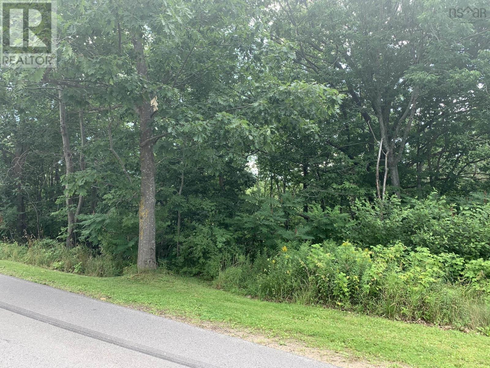 Lot 2 Maple Avenue Property Photo 6