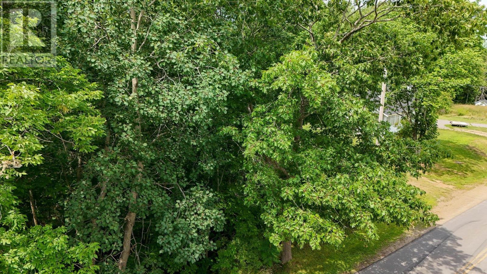 Lot 2 Maple Avenue Property Photo 11