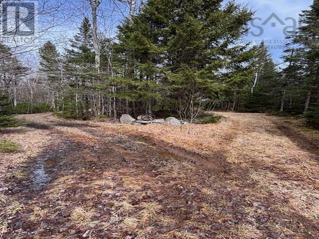1040 Corkum And Burns Road Property Photo 26