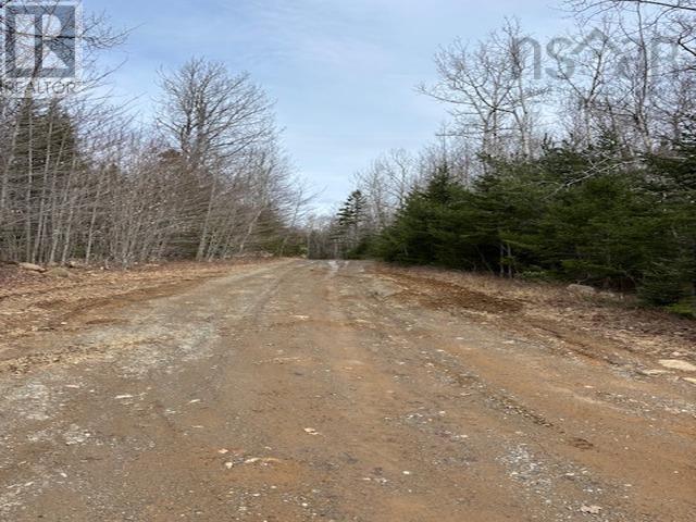 1040 Corkum And Burns Road Property Photo 29