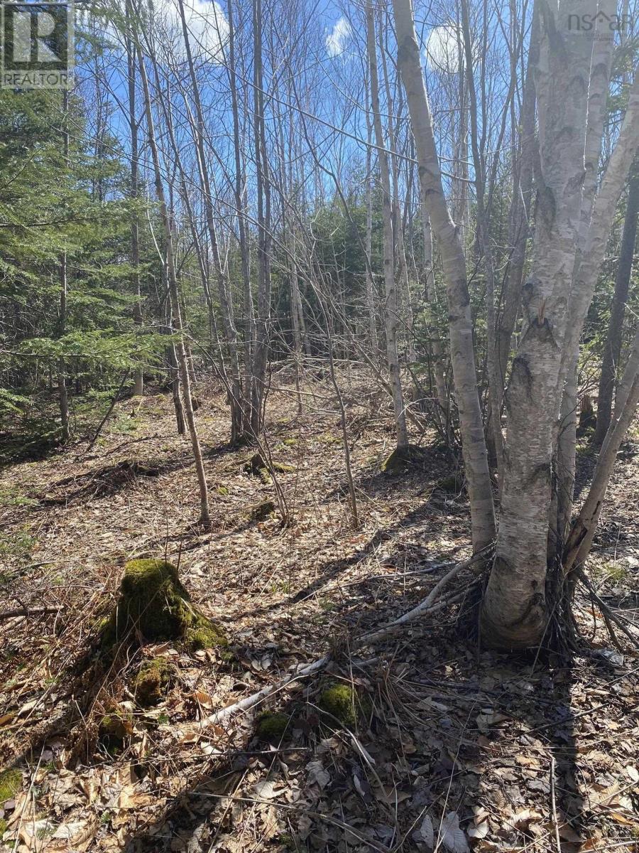 Scotsville Road Property Photo 1