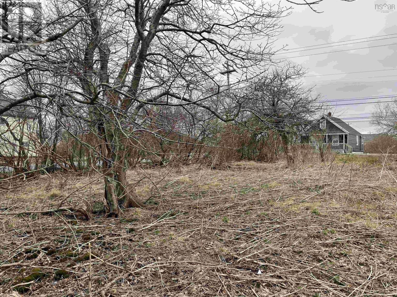 5225 28 Highway Property Photo 3