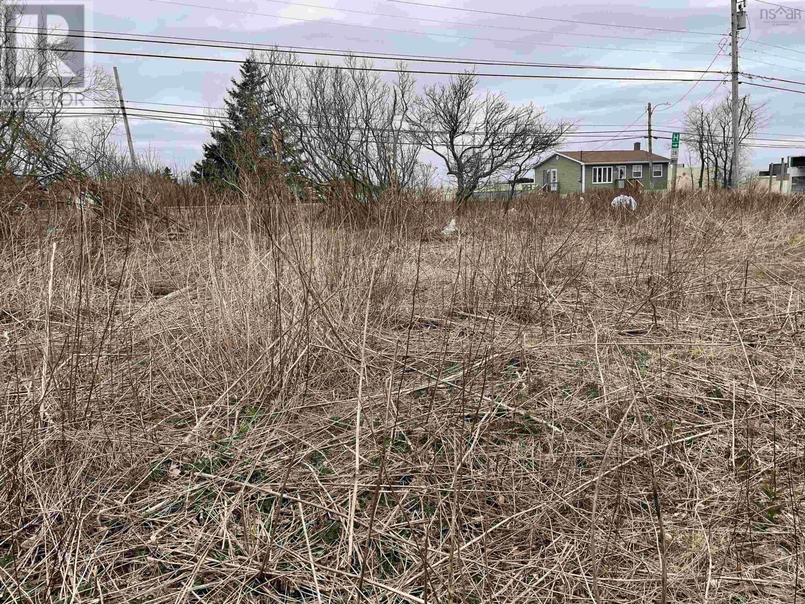 5225 28 Highway Property Photo 6