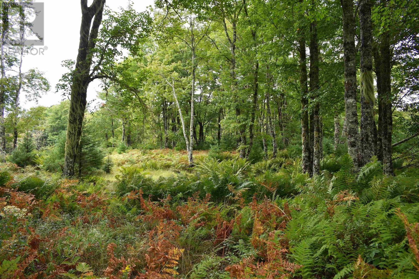 0 Minor Road Property Photo 3
