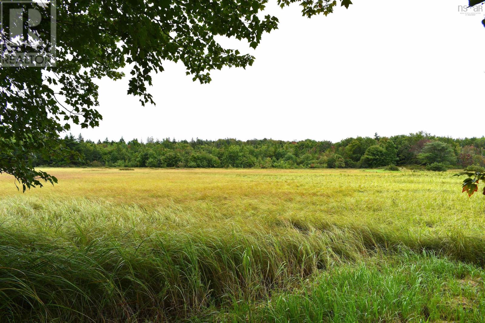 0 Minor Road Property Photo 17