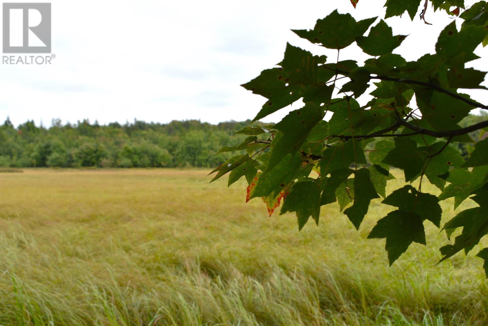 0 Minor Road Property Photo 18