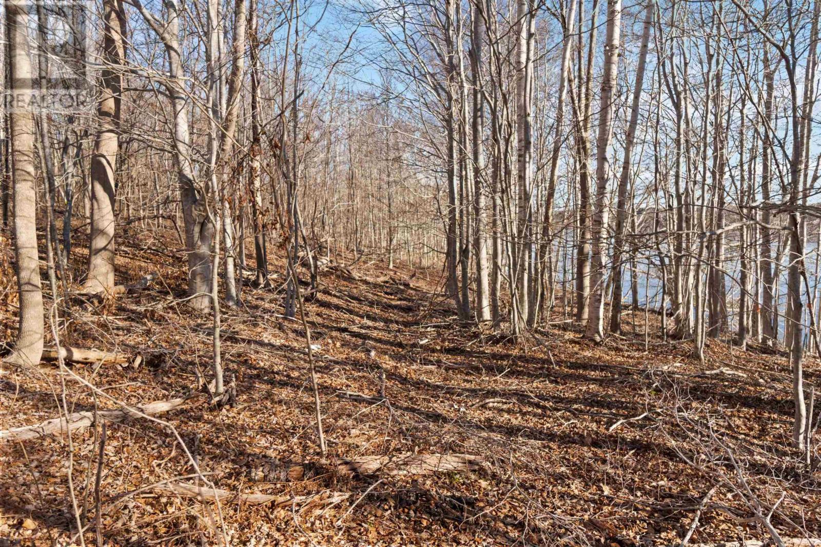 Lot 3 Riverside Road Property Photo 15