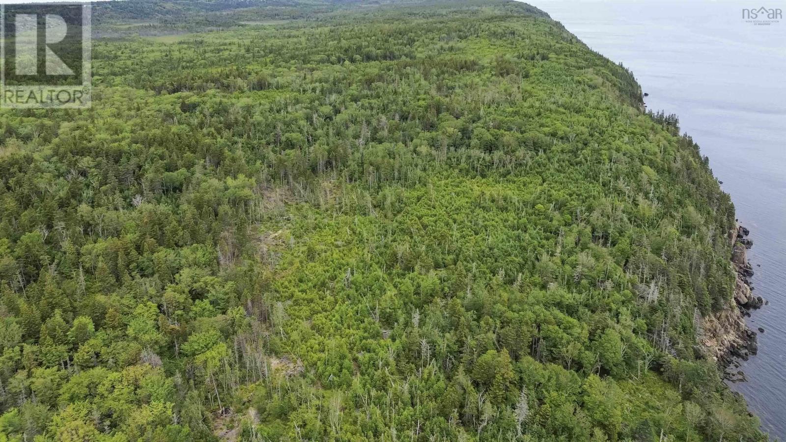 Highway 217 Property Photo 8