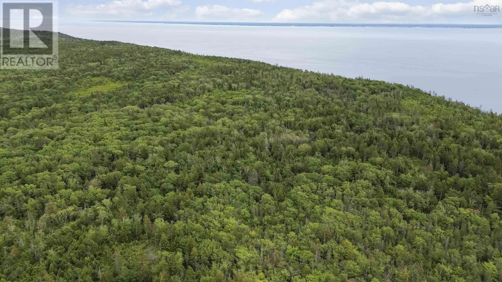 Highway 217 Property Photo 10