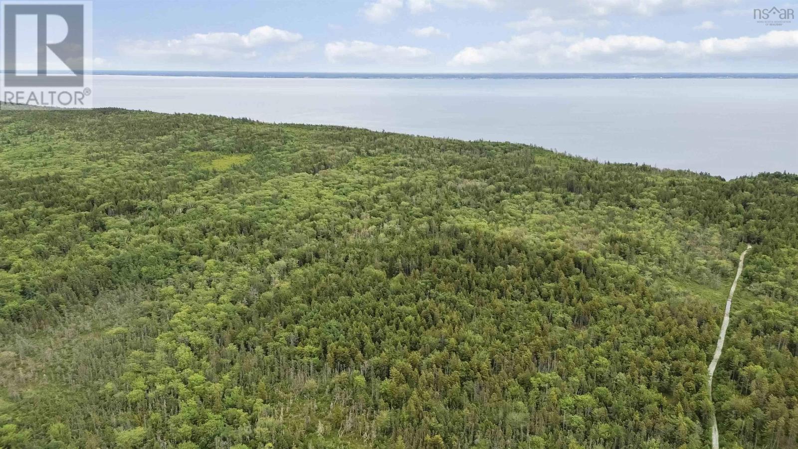 Highway 217 Property Photo 11