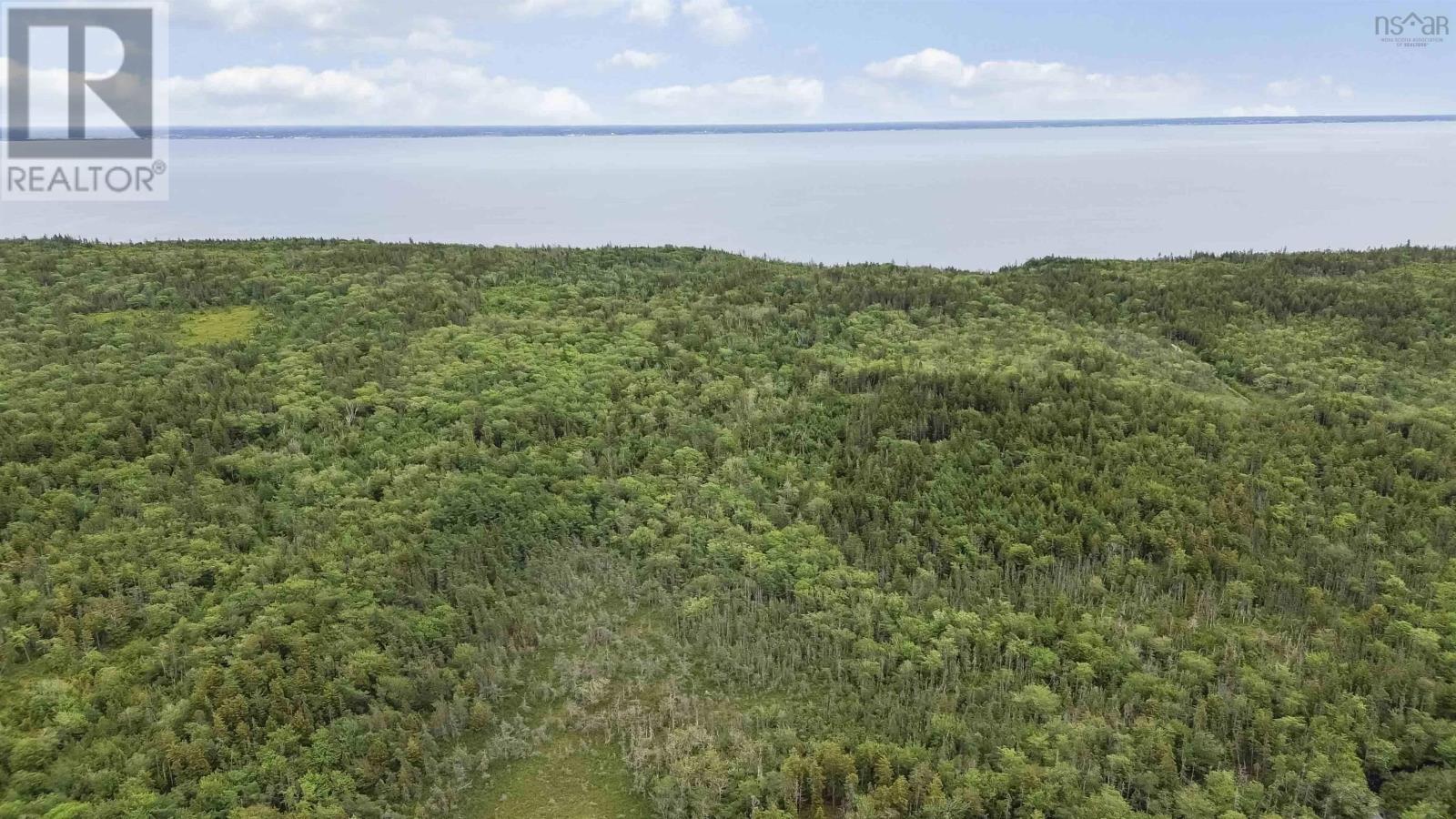 Highway 217 Property Photo 12