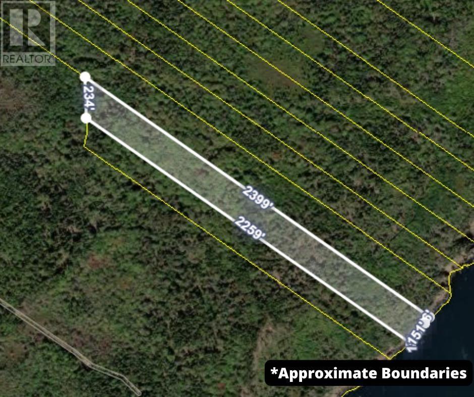 Highway 217 Property Photo 16