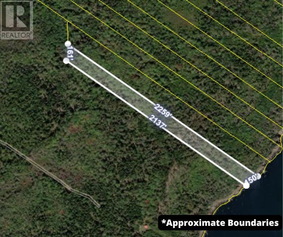 Highway 217 Property Photo 17