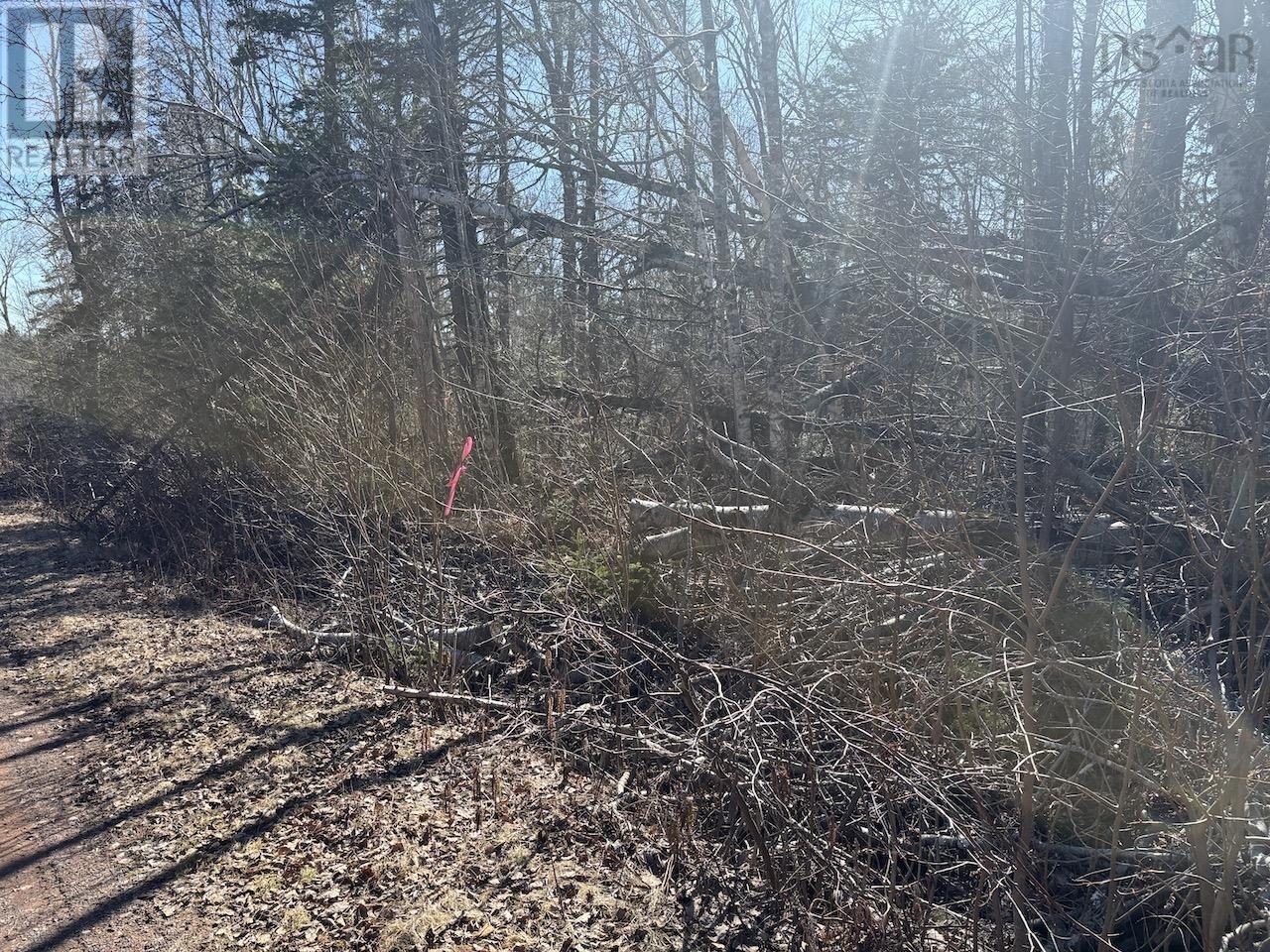Black Lake, No 104 Highway Property Photo 3