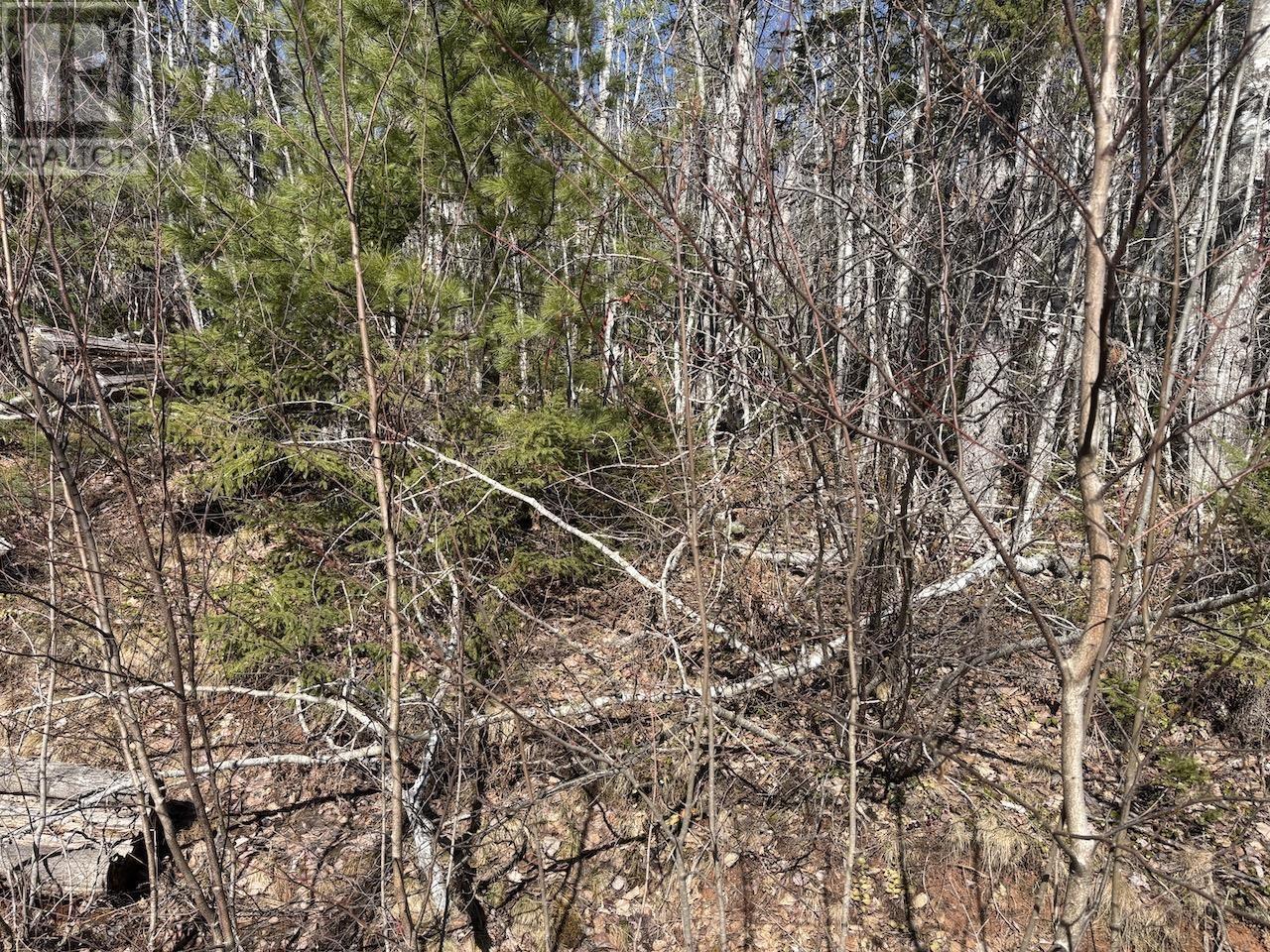 Black Lake, No 104 Highway Property Photo 4
