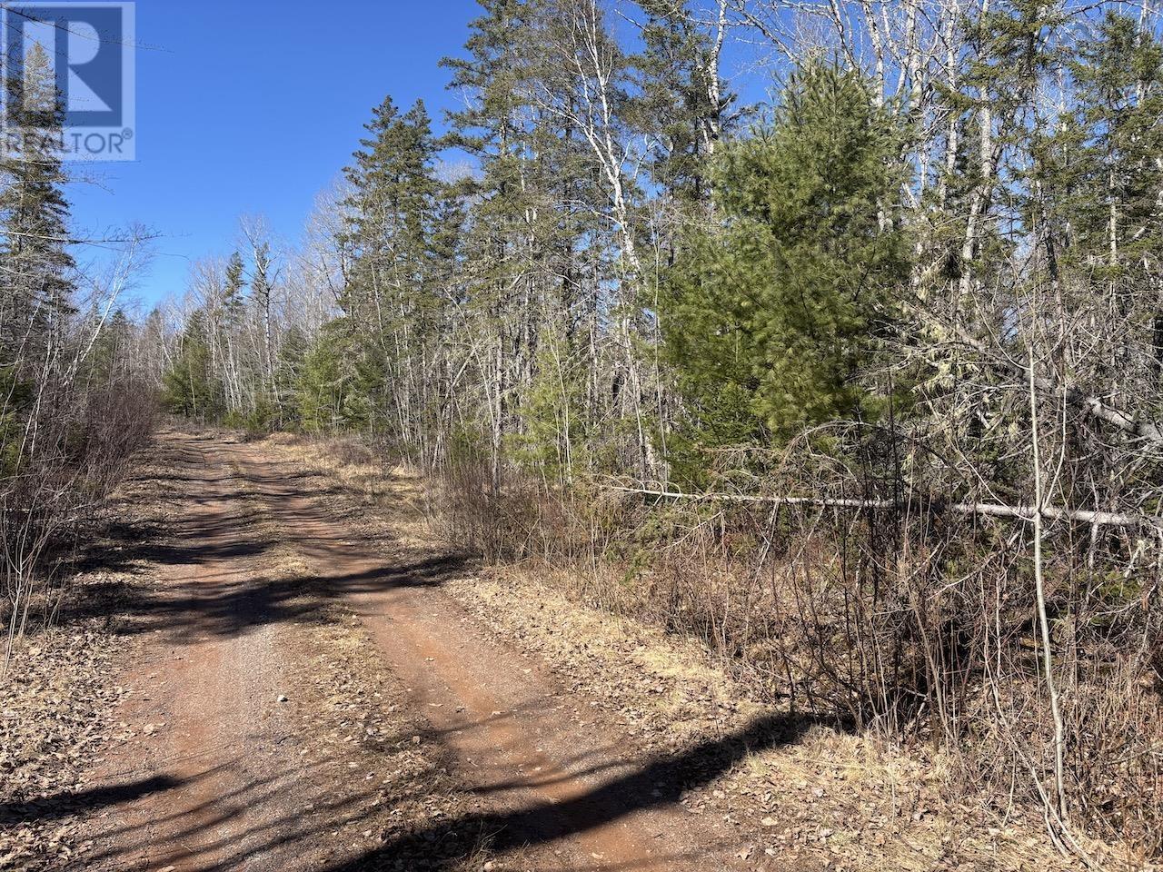 Black Lake, No 104 Highway Property Photo 6