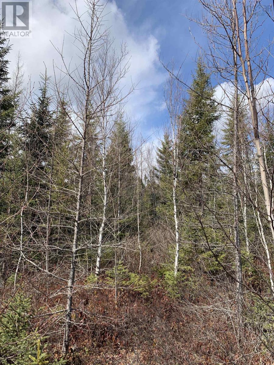 Lot Hunter West Road, Wentworth Valley Preserve Property Photo 1